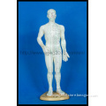 Human Body Acupuncture Model (M-1-50, 48 0r 46)